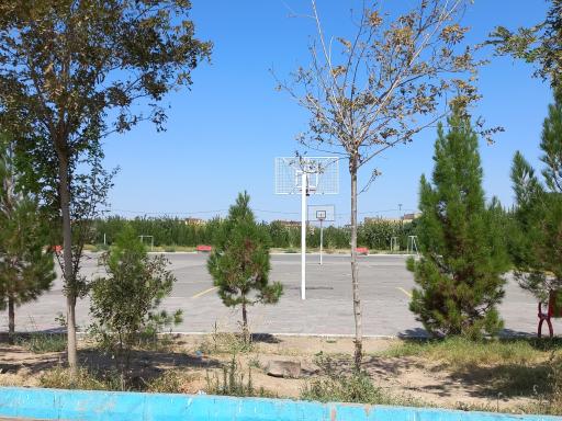 عکس بوستان بزرگ طبیعت