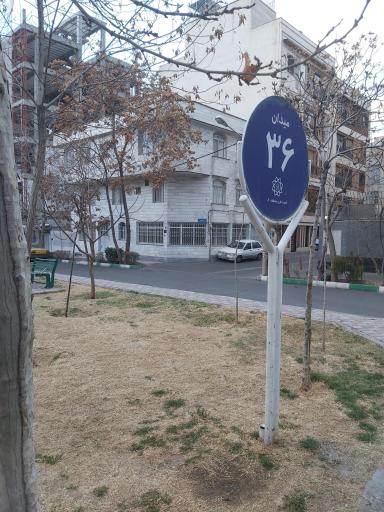 عکس میدان ۳۶