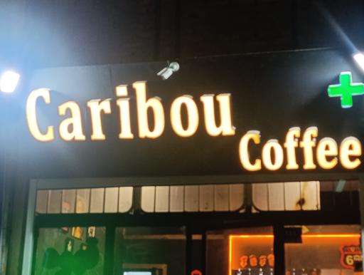 عکس کافه کاریبو پلاس