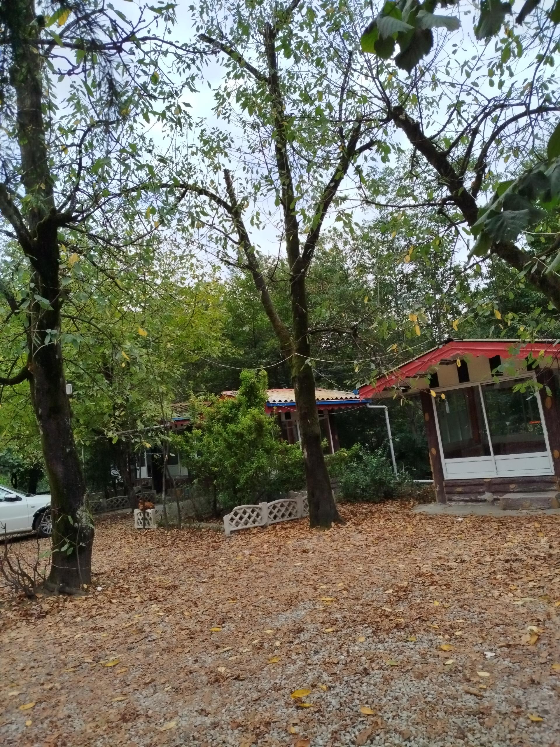 عکس رستوران و سفره خانه باغ حافظ