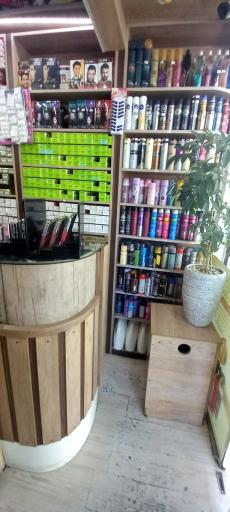 عکس قصر رنگ مو سینا