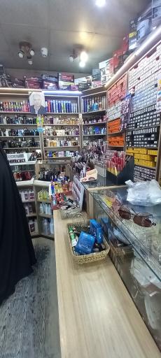 عکس قصر رنگ مو سینا