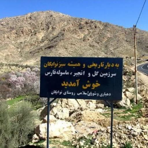 عکس نوایگان