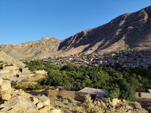 عکس نوایگان