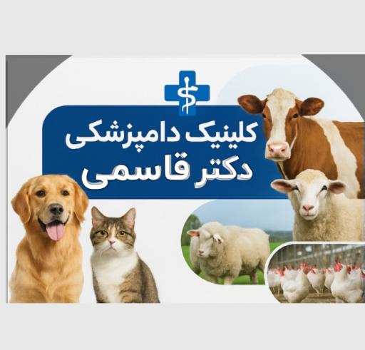 عکس کلینیک دامپزشکی دکتر قاسمی 