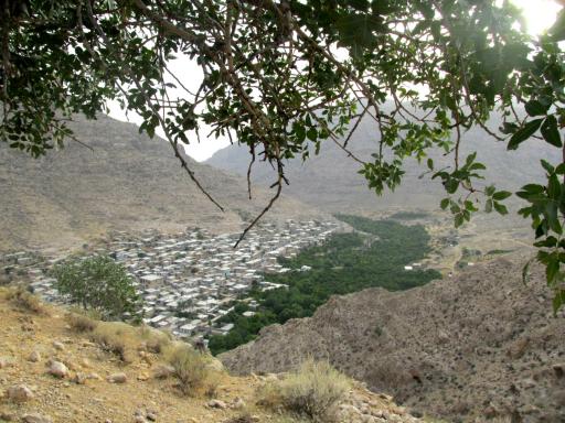 عکس نوایگان