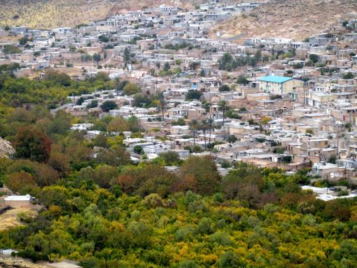 عکس نوایگان