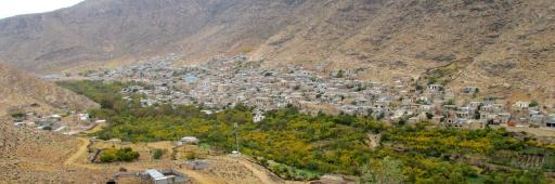 عکس نوایگان