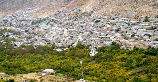 عکس نوایگان