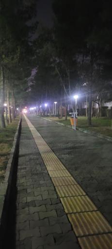 عکس بوستان زمرد