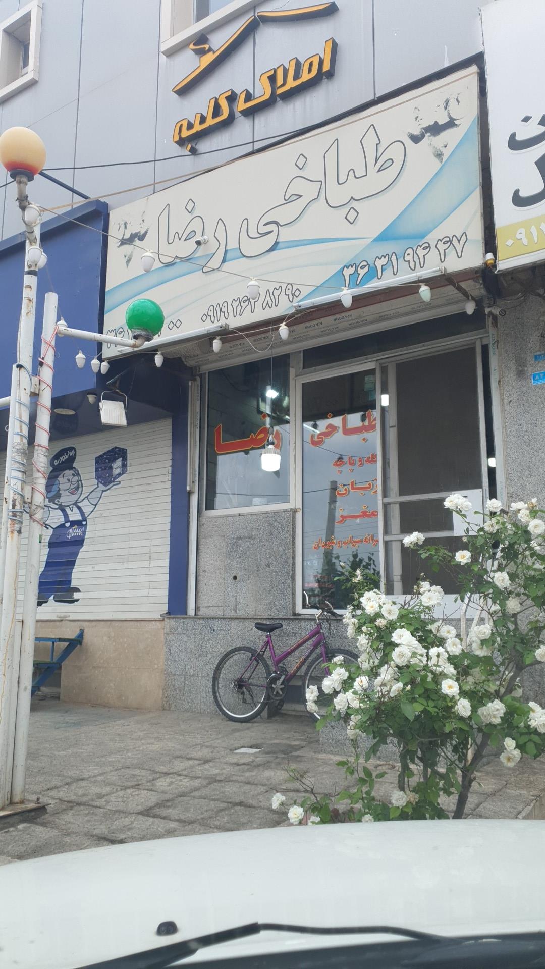 عکس طباخی رضا