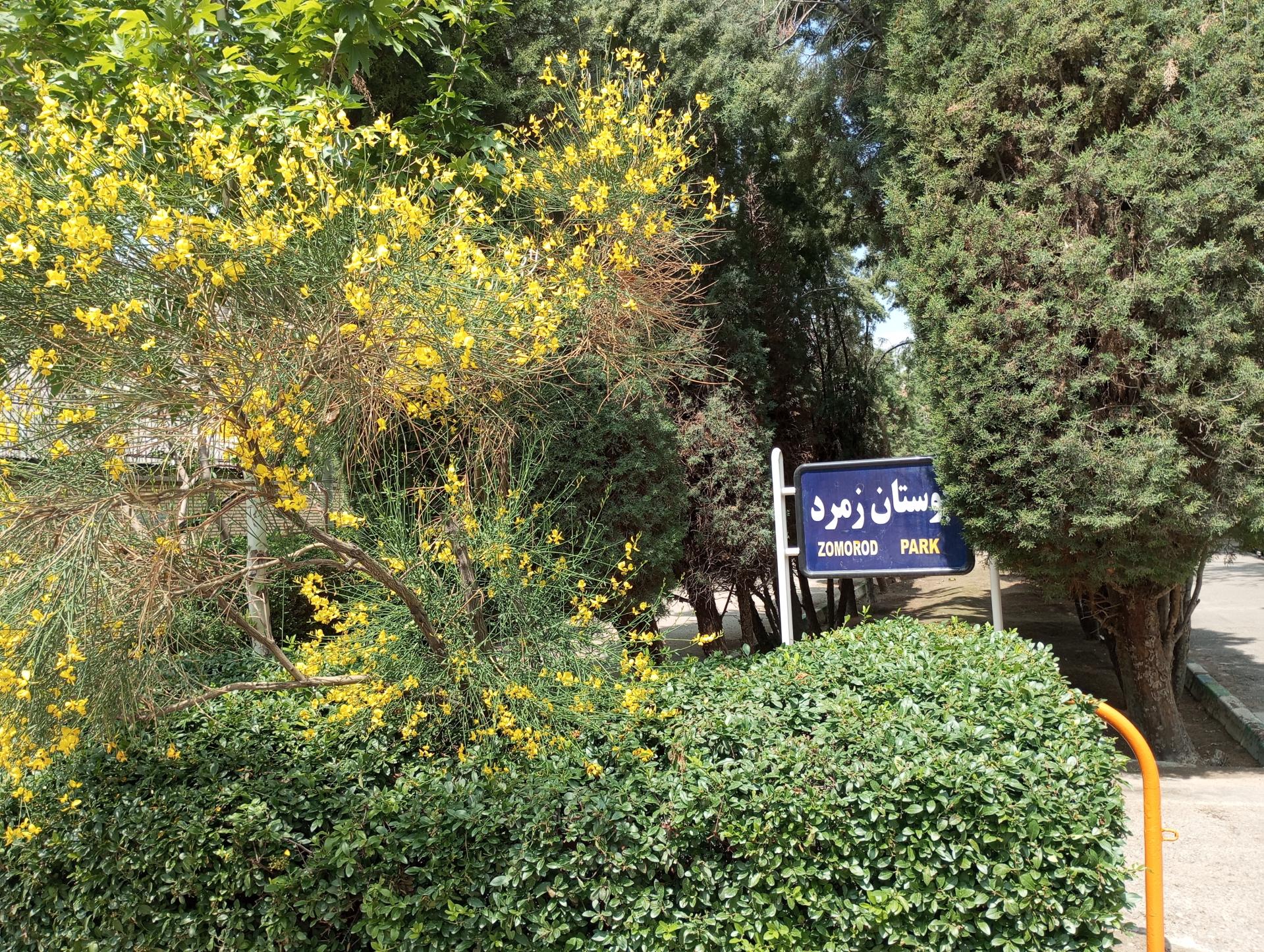 عکس بوستان زمرد