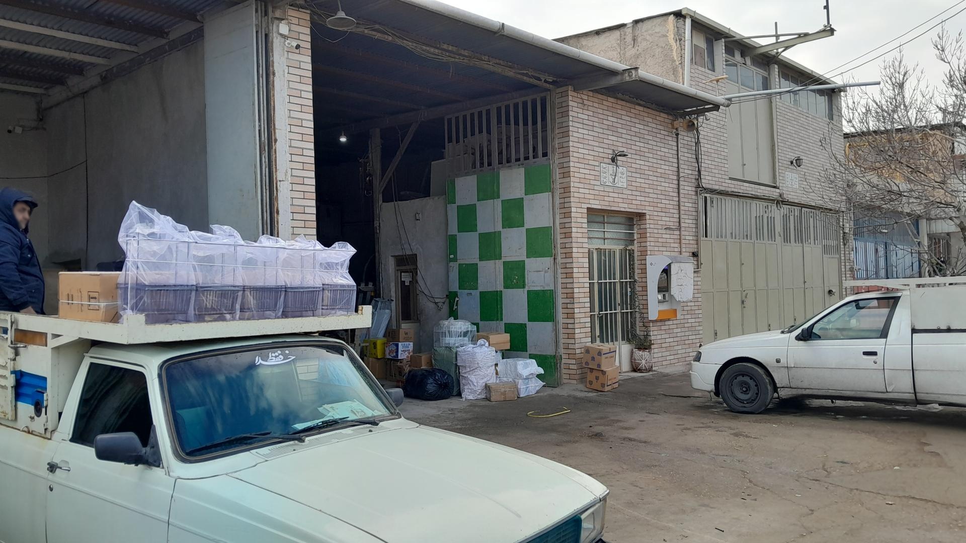 عکس باربری پیام شمس سمنان