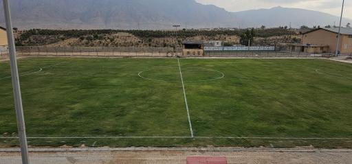 عکس چمن طبیعی