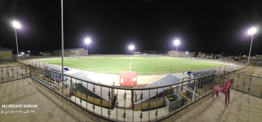 عکس چمن طبیعی