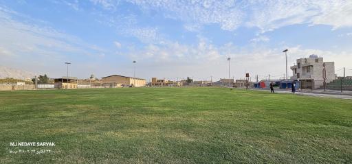 عکس چمن طبیعی