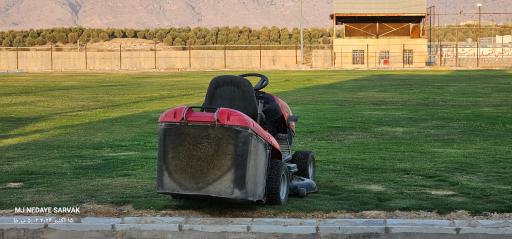 عکس چمن طبیعی