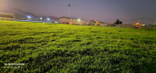 عکس چمن طبیعی