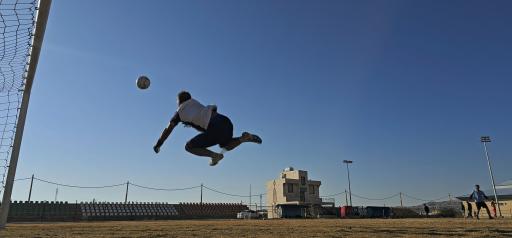 عکس چمن طبیعی