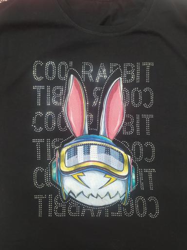 عکس شین چاپ