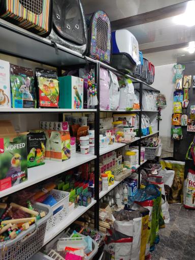 عکس پلی کلینیک اختصاصی حیوانات خانگی دکتر ملکی 