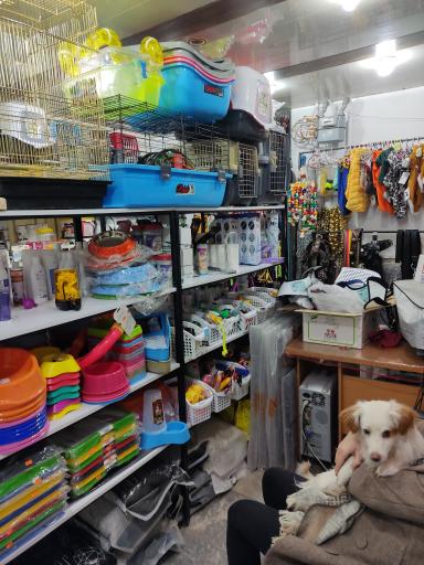 عکس پلی کلینیک اختصاصی حیوانات خانگی دکتر ملکی 