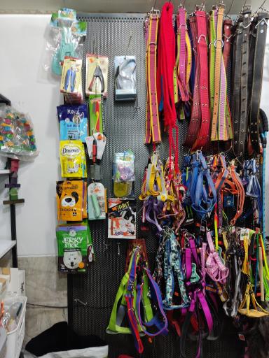 عکس پلی کلینیک اختصاصی حیوانات خانگی دکتر ملکی 