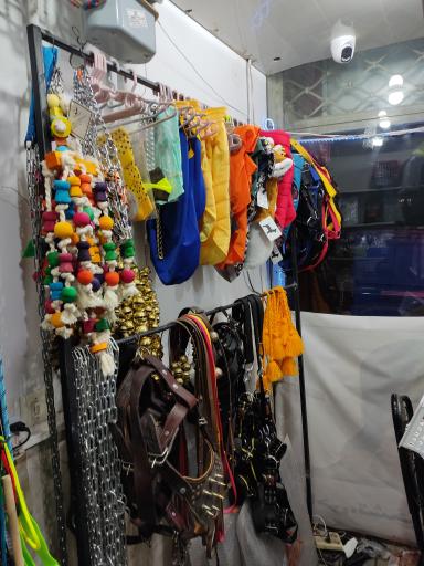 عکس پلی کلینیک اختصاصی حیوانات خانگی دکتر ملکی 