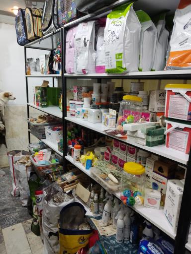 عکس پلی کلینیک اختصاصی حیوانات خانگی دکتر ملکی 