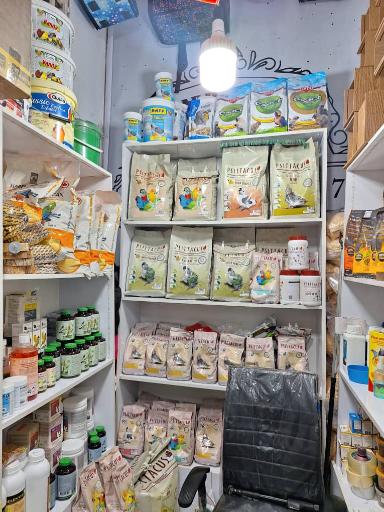 عکس فروشگاه تهران طوطی