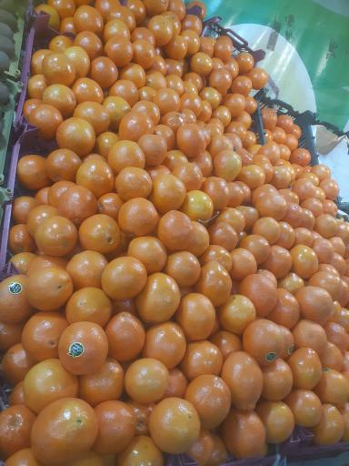 عکس میوه سرای بلال