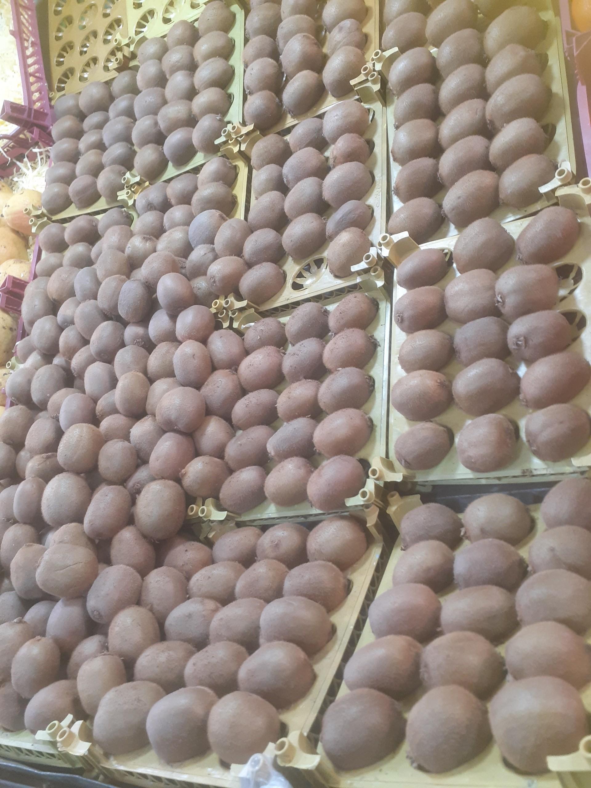 عکس میوه سرای بلال