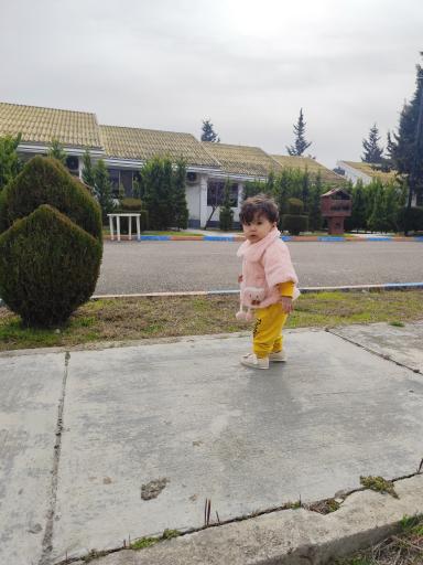عکس ویلای سازمان ثبت اسناد واملاک