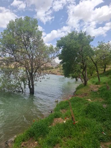 عکس سد مهاباد