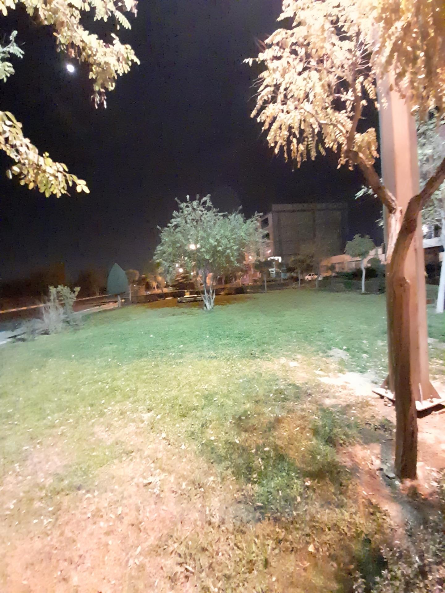 عکس بوستان یاس