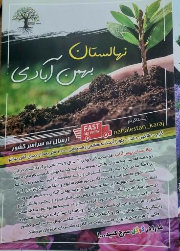عکس نهالستان بهمن آبادی (شعبه اصلی)