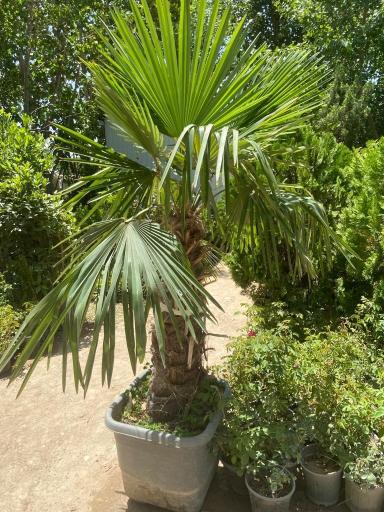 عکس نهالستان بهمن آبادی (شعبه اصلی)