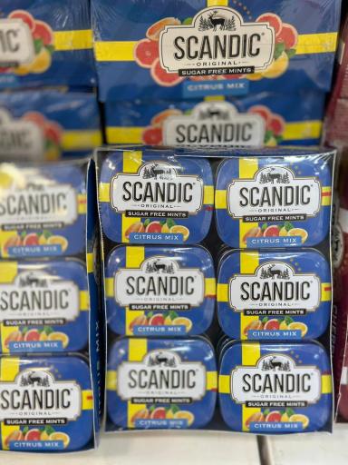 عکس خشکبار حمید