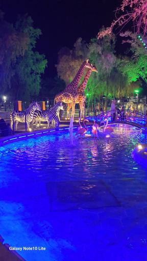 عکس پارک وحش سافاری