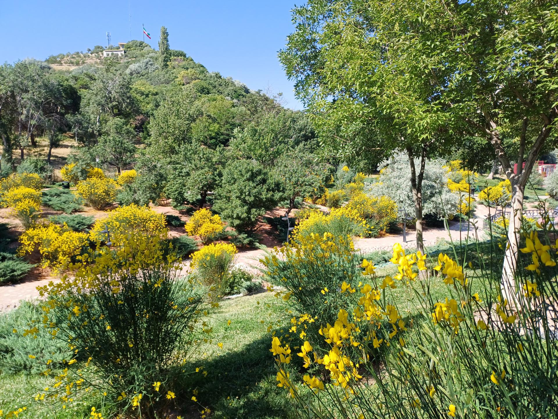 عکس تپه پرچم