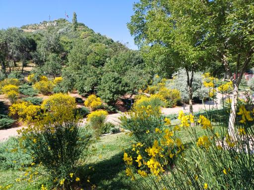 عکس تپه پرچم