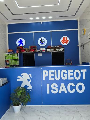 عکس یدکی محمودی