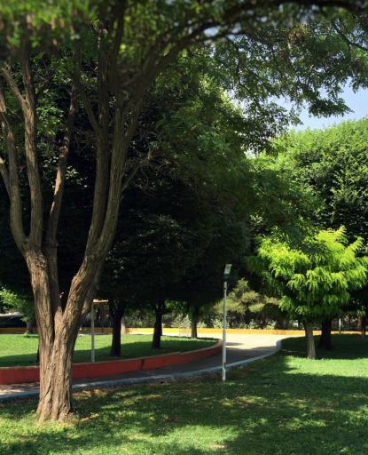 عکس بوستان محمدیه