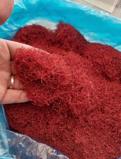 عکس زعفران نوربخش