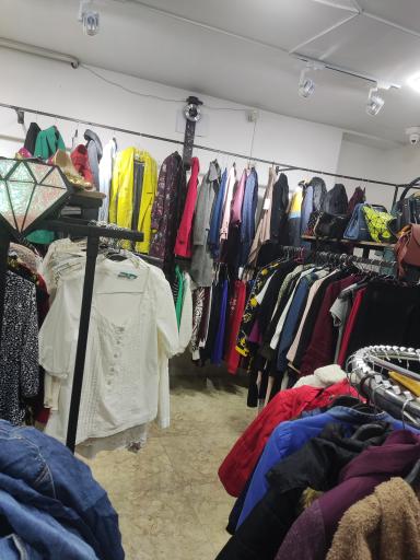 عکس تاب استوک