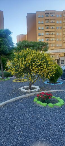 عکس مجتمع ارکیده