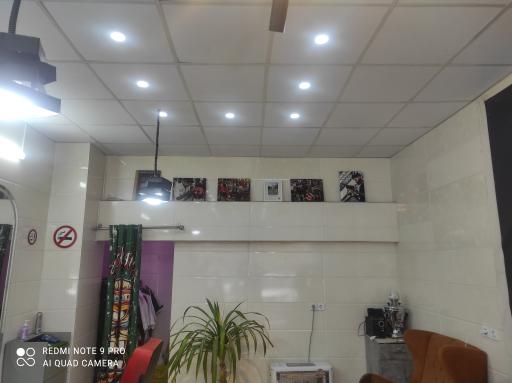 پیرایش آلستار