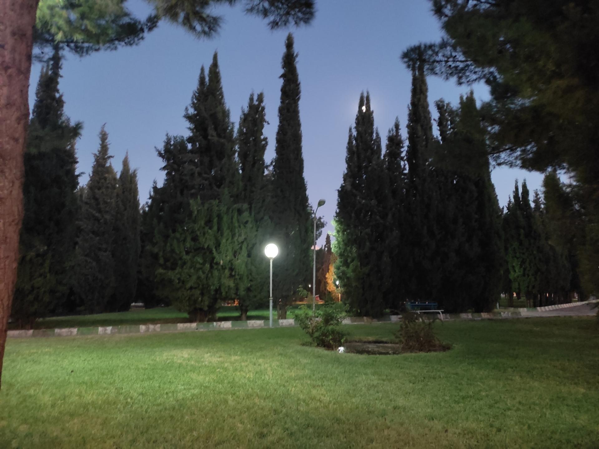 عکس پارک سرو