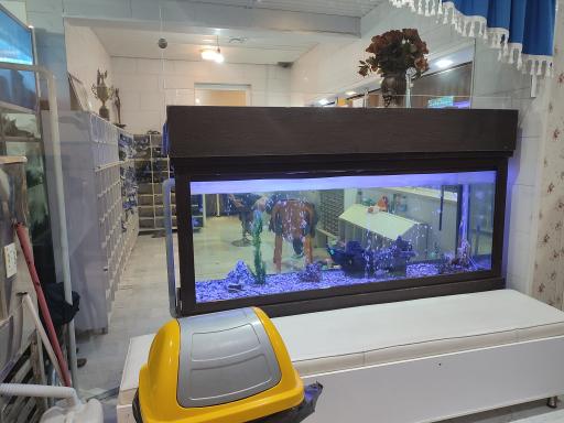 عکس استخر چمران