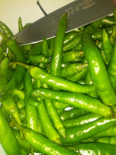 عکس فست فود مازالا